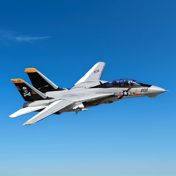 Freewing F-14 Tomcat Twin 64mm Jet EDF PNP (stabilizer included)